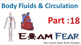 Biology Body Fluids & Circulation part 18 (Cardiac Cycle) CBSE class 11 XI