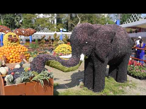 Yanam flowers show 2k19