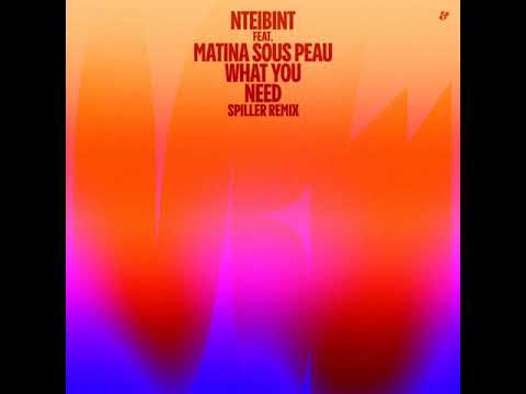 NTEIBINT feat. Matina Sous Peau - What You Need (Spiller Remix)