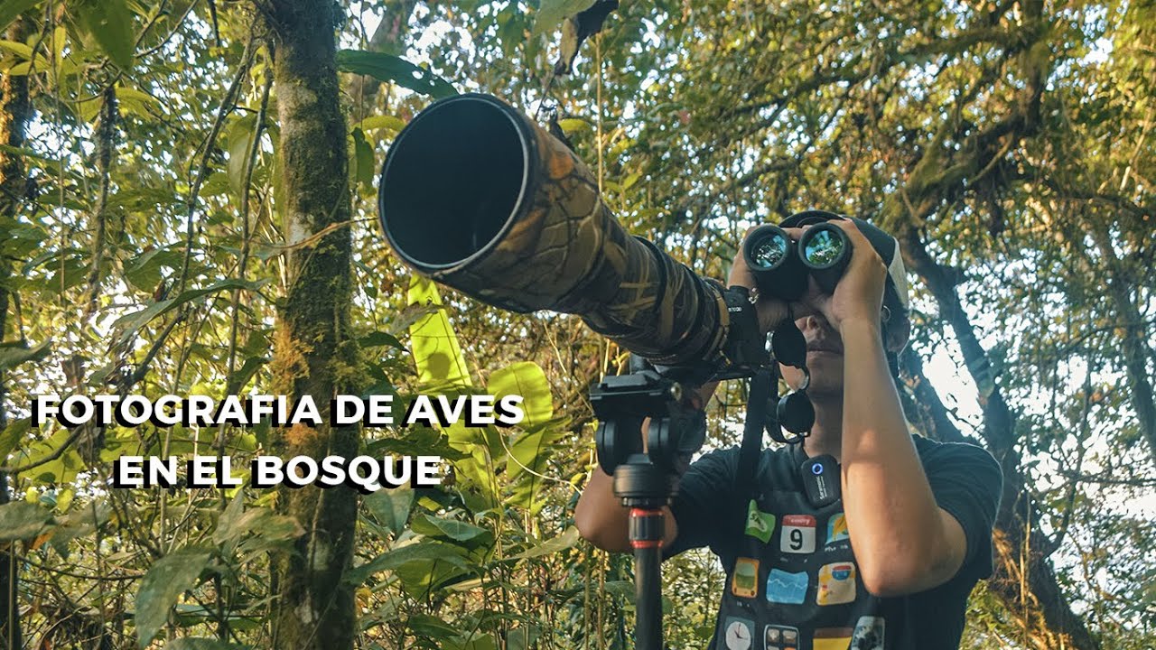 Fotografía de aves en la montaña | Siempre hay sorpresas