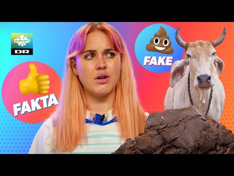 Kolort hjælper mod corona - er det Fake eller Fakta!?