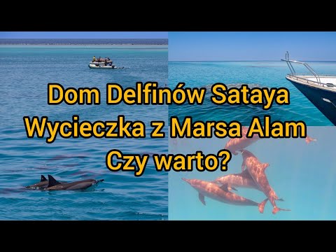 Dom Delfinów Sataya 2025                        