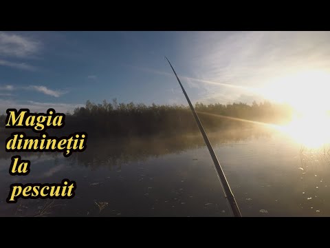 Pescuit la Plută într-o Dimineață de Toamnă pe Siret