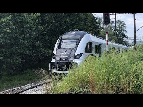 Prezentacja Elfa 2 (48WEc-025) Kolei Dolnośląskich | Jelcz-Laskowice