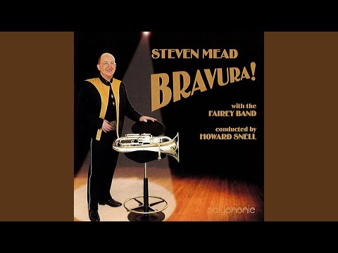 Euphonium Concerto No. 2 ii. Largo Elegiaco (feat. Fairey Band & Howard Snell)