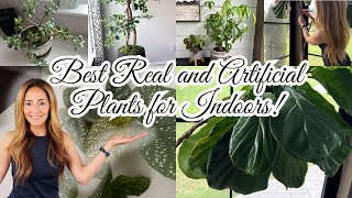 BEST REAL AND ARTIFICIAL PLANTS FOR INDOORS | REAL OR FAUX? | FRIED SQUASH FLOWERS RECIPE
