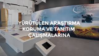 Göbeklitepe'yi Gördünüz mü