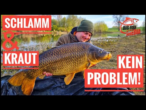 KARPFENANGELN UNMÖGLICH wegen Kraut und Schlamm? So fängst Du trotzdem | Gregor trifft den Profi