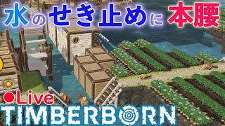 Timberborn Live 治水工事、はじめました【Timberborn（Steam)】