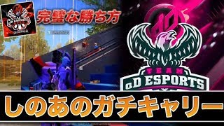 【荒野行動】しのあにガチキャリーされました