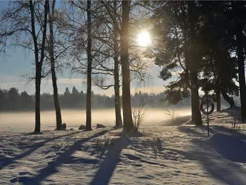 Holiday home Näs Gislaved III - Gislaved - Sweden