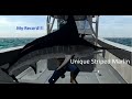 Fishing Planet Unique Striped Marlin HOT SPOT LURE