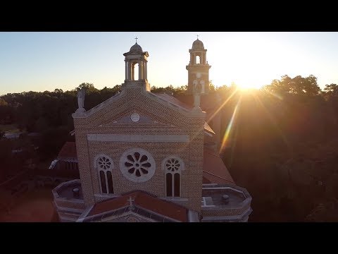 ABBEY Collection Master