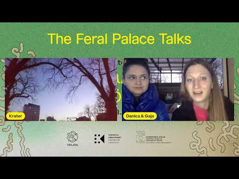 The Practice of Zoönomy w/ Klaas Kuitenbrouwer & Krater / The Feral Palace Talks