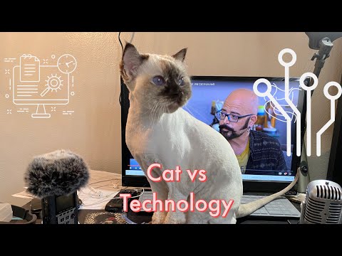 CAT VS TECHNOLOGY. How to stop your cat from chewing wires