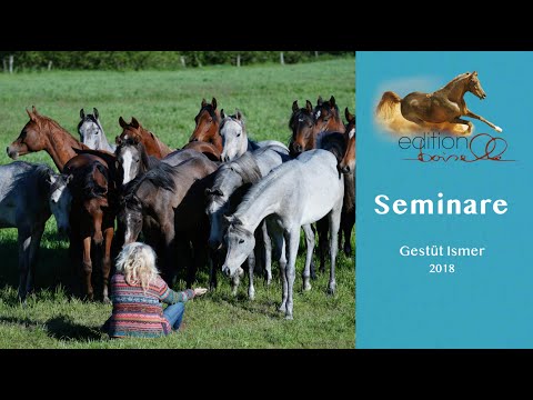 Fotoseminar im Gestüt Ismer 2018 - Aus Liebe zu den arabischen Pferden