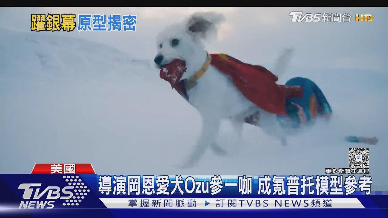 狗派必看!《超人》超狗氪普托花絮曝光 「百隻超狗」齊聚首映會