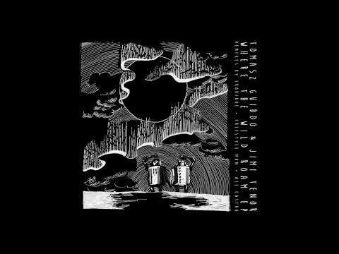 Tomasz Guiddo & Jimi Tenor - Where The Wild Roam (Original Mix)