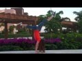 Rachel Gymnastics In Cancun