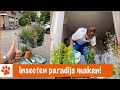 Floris maakt een supermarkt voor insecten! | DierenpraatTV