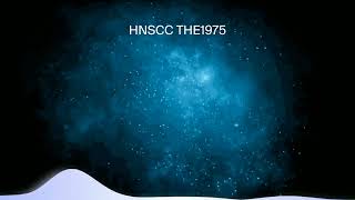 The 1975 - HNSCC【Visualiser】