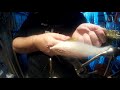 new tying video dropped