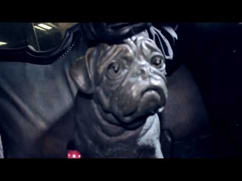 Serious B.I.G - Wir sind die G,s (feat. Damn One)