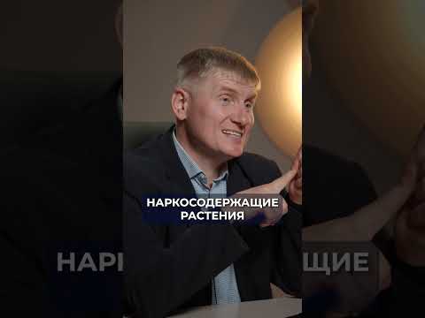 Вас ПОСАДЯТ за ЭТИ растения в огороде! #недвижимость #участок #закон