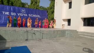 The SD Vidya School Video