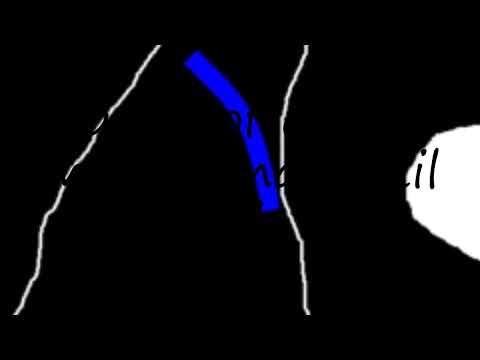 How to pronounce Battle of chains mohammad adil rais in English?