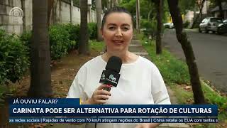Miniatura do vídeo