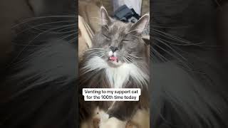 Download lagu @siannyp111: #cat #catlover #kitty mp3 Download lagu @siannyp111: #cat #catlover #kitty mp3