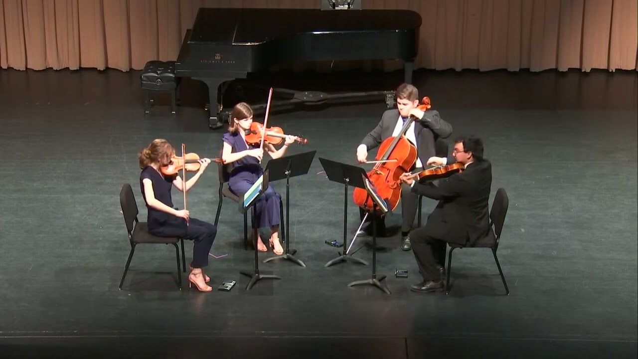 Promotional video thumbnail 3 for Solo Cellist Performer