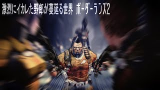 [PS4] 激烈にイカレた野郎が蔓延る世界 / ﾎﾞｰﾀﾞｰﾗﾝｽﾞ2 /RES#2