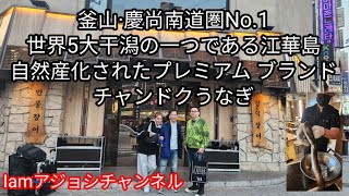 釜山·慶尚南道圏No.1 世界5大干潟の一つである江華島の清浄干潟自然産化されたプレミアム ブランドチャンドクうなぎ #韓国グルメ #釜山グルメ #Iamアジョシチャンネル