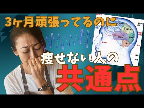 学校教育課程 【みんな陥ってる】痩せない人の共通点をお話しします