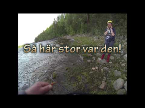 Laxfiske i Jockfall (Kalixälven), juni 2014 (II).