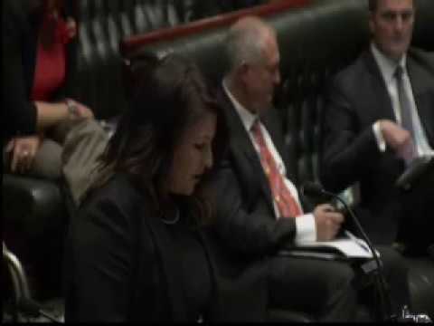 Question Time: Cyprus pines in Brunswick Heads