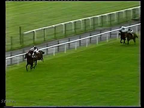 Horse Racing Video 1988 Royal Lodge Stakes High Estate