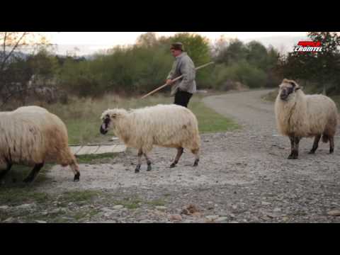 Oameni si traditii - Felicia Cuciurean din Bilca