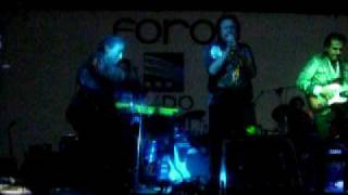 los felinos " el venadito "