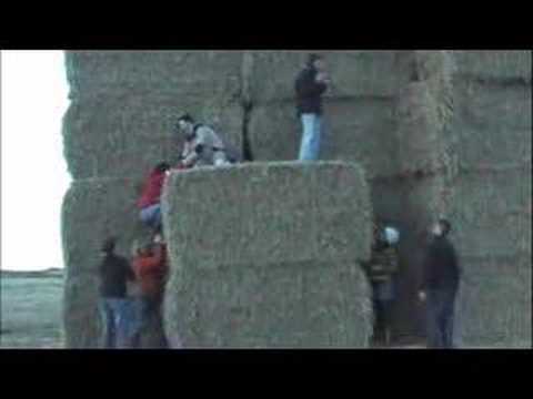 THE BIGGEST WEETABIX IN THE WORLD!