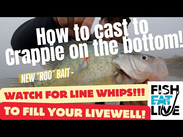 Judge.me YouTube video placeholder