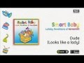 Smart Baby / Lullaby Renditions of Aerosmith - Dude (Looks like a lady)