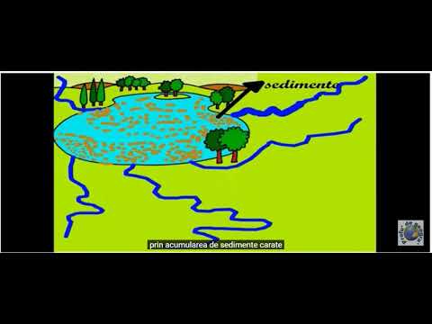 Unitatile majore de relief de pe Continente