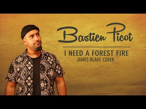 I Need A Forest Fire (Reggae Cover) - James Blake Song by Booboo'zzz All Stars Feat. Bastien Picot