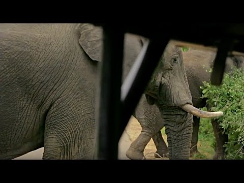 Kruger to Cape Town Overland Tour