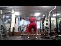 225 squats