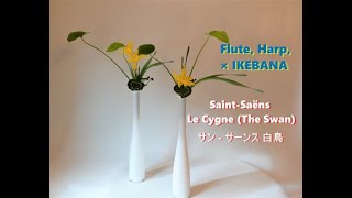 Download lagu #10 Saint-Saëns Le Cygne (The Swan) サンサーンス 白鳥、Flute, Harp × IKEBANA mp3