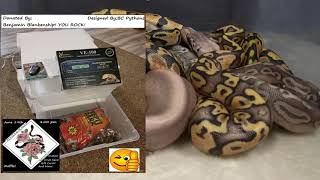 HoW tO WiN!(SNAKES RACKS GIFT CARDS AND MORE)! AND WHY YOU SHOULD ENTER! ALL LINKS BELOW! #likeshare